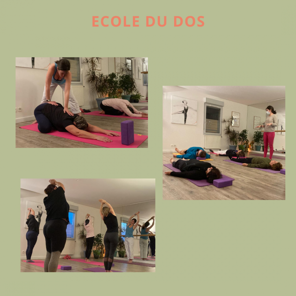École du dos ou yoga adaptatif